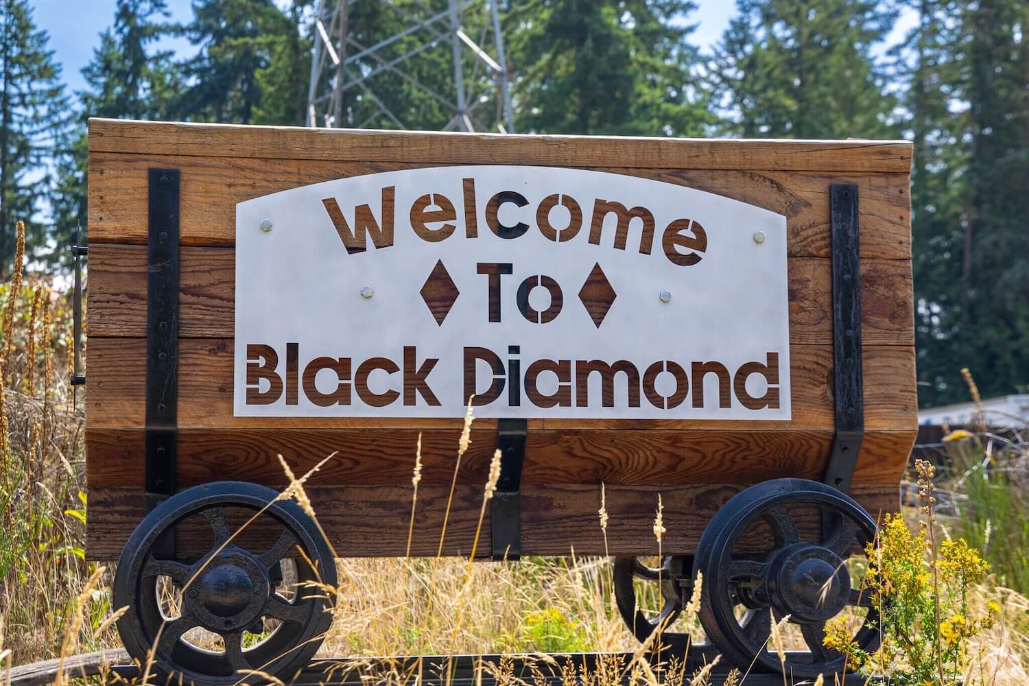 A wooden cart-shaped sign reads "Welcome to Black Diamond," inviting visitors to explore local offerings like plumbing services in Black Diamond, with trees and utility poles visible in the background. Plumbers in Black Diamond, WA