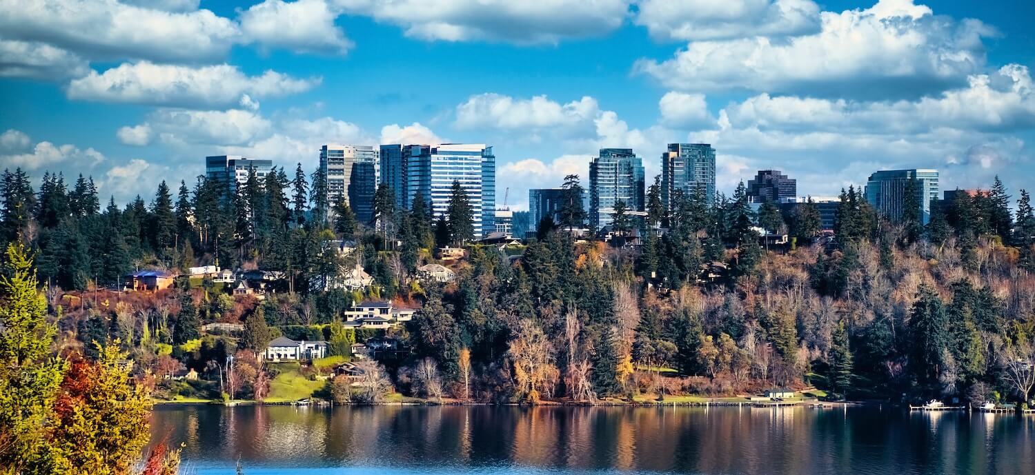 Scenic View of Bellevue Skyline from Lake Washington